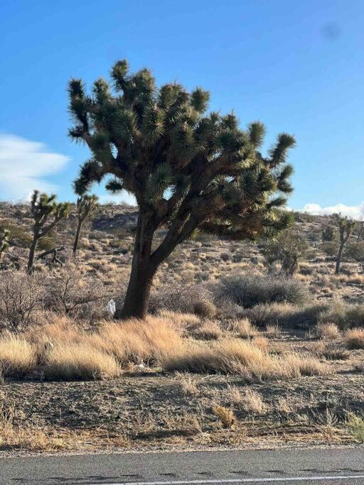 Joshua Tree National Park - Cozy Palms Getaway Apartment Twentynine Palms Bagian luar foto